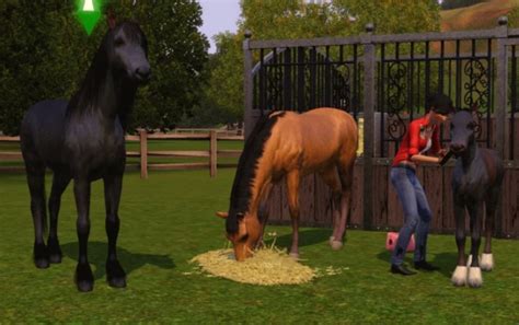 horse game 2000s|23 Best PC Horse Riding Games .